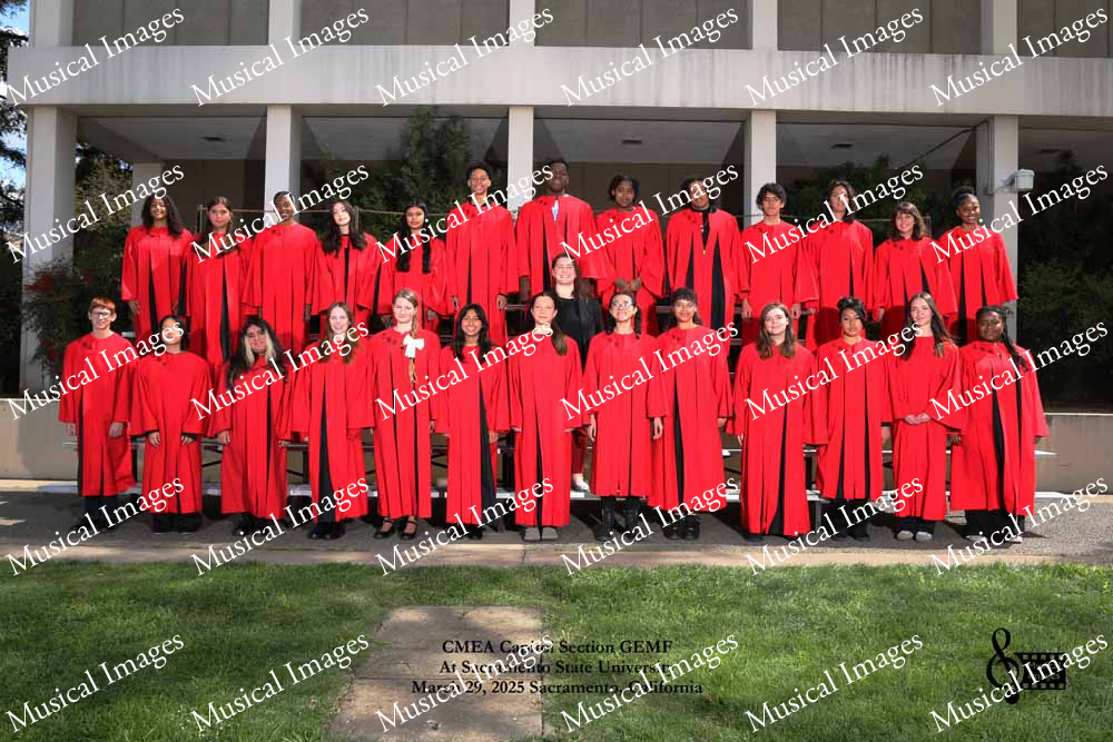 Musical Images